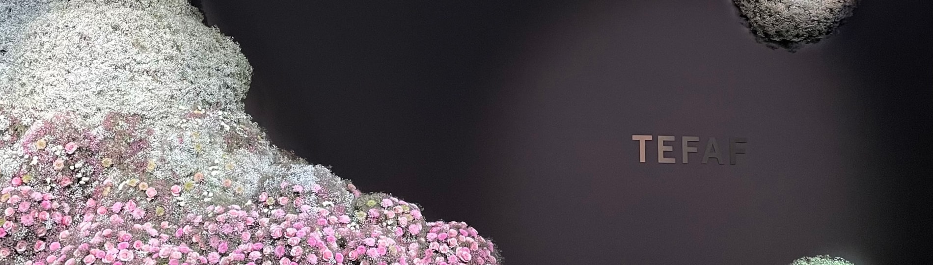 AboutBannerMediaPath